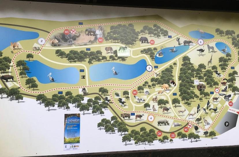 Apartament Czytelnia - Parking Gratis พอซนาน ภายนอก รูปภาพ